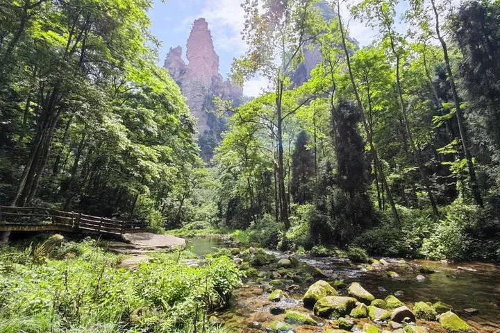 Golden Whip Stream flowing through lush forest with mountain peaks
